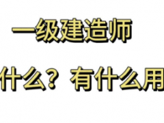 一级建造师在工程招投标中的作用是什么